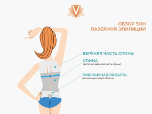 Лазерная эпиляция спины и живота-2