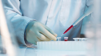 Использование стволовых клеток в современной медицине