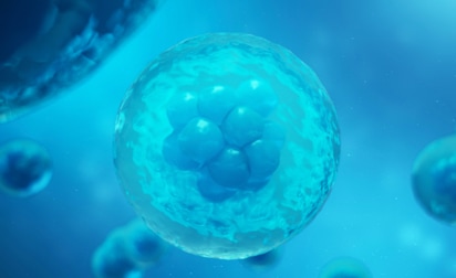 Cellness. Лечение стволовыми клетками