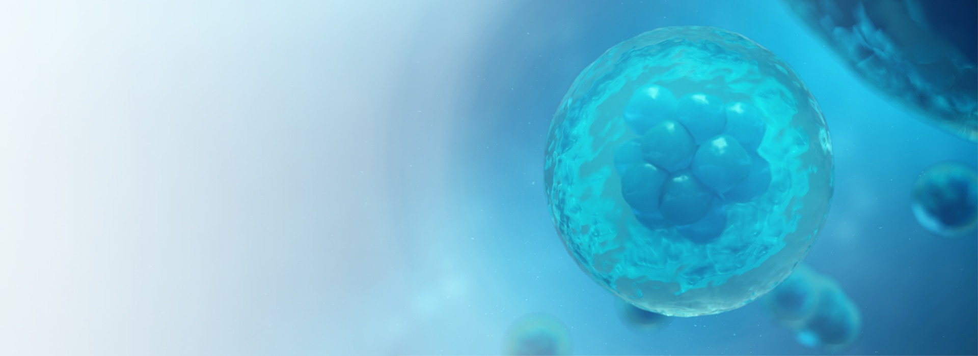 Клеточные технологии SmartCell