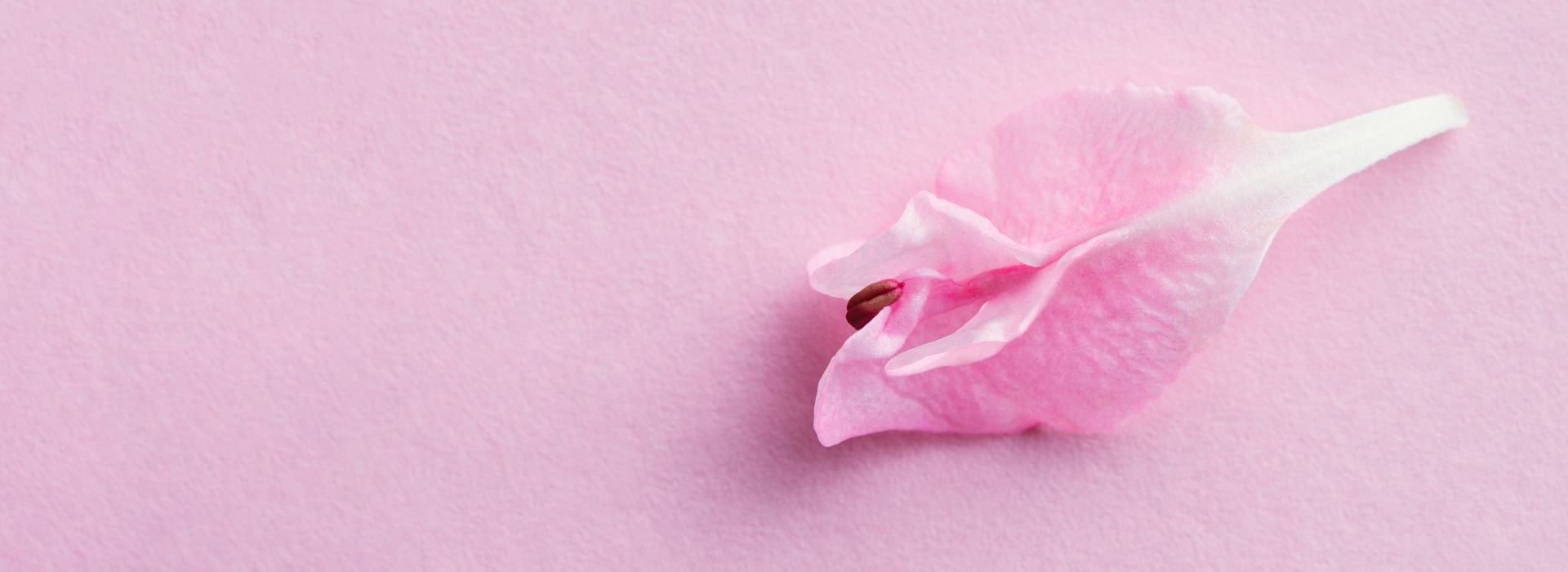 Гiнекологія у Інституті VIRTUS