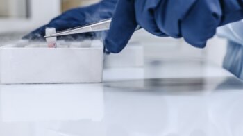 Що треба знати про лікування стовбуровими клітинами?