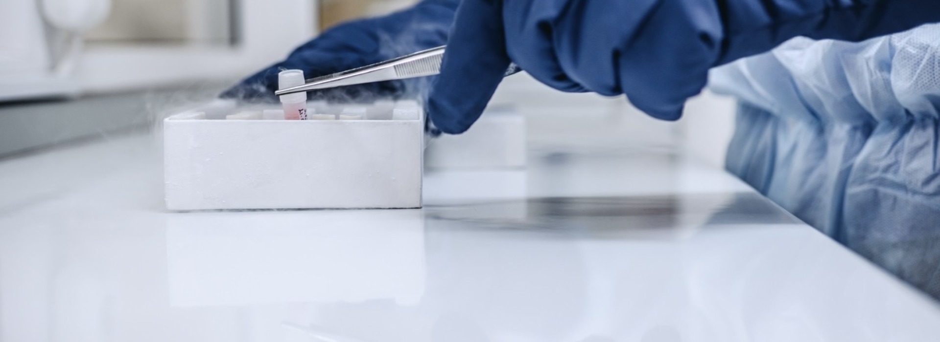 Що треба знати про лікування стовбуровими клітинами?